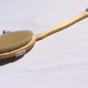 Body Brush - long handle