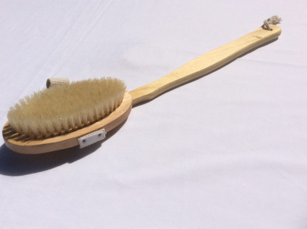 Body Brush - long handle